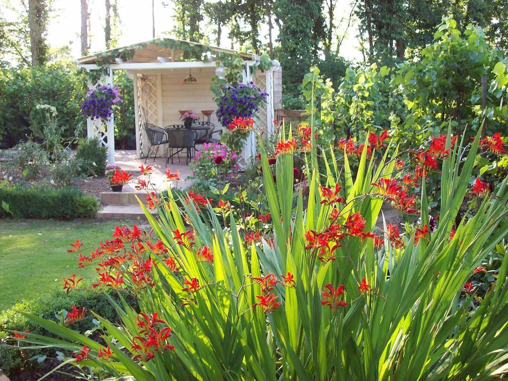 Vakantie Appartementen Engelen Stevensweert Ngoại thất bức ảnh